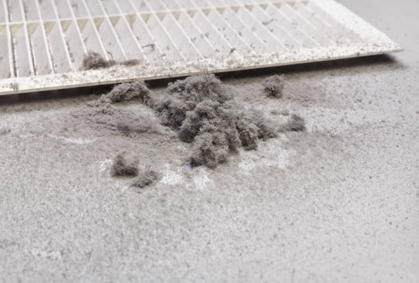 Best Affordable HVAC Duct Cleaning  in Kahaluu Keauhou, HI